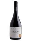 Vinho casa valduga terroir exclusivo syrah viognier 750ml Vinho casa valduga terroir exclusivo syrah viognier 750ml