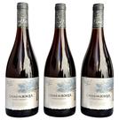 Vinho Casas Del Bosque Gran Reserva Pinot Noir Kit Com 3 Garrafas Oferta Vinho Casas Del Bosque Gran Reserva Pinot Noir Kit Com 3 Garrafas Oferta