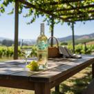 Vinho Chileno Branco Paso de Los Andes Sauvignon Blanc 750mL Vinho Chileno Branco Paso de Los Andes Sauvignon Blanc 750mL