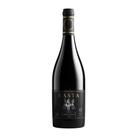 Vinho chileno kasta icono tinto cab sauvignon 750ml
