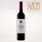 Vinho Encostas do Trogão 2019 Tinto Portugal 750ml - Winenow