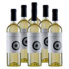 Vinho Fino Branco Cantagua Sauvignon Blanc 750ml 6 Unidades