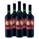 Vinho Foye Reserva Cabernet Sauvignon 750ml 6 Unidades