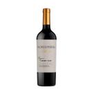 Vinho pacheco pereda estirpe cab franc org tinto 750ml