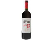 Vinho Salton Intenso Cabernet Sauvignon 750ml