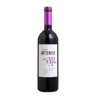 Vinho Salton Intenso Merlot 750Ml