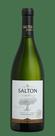 Vinho Salton Paradoxo Riesling 750ml Vinho Salton Paradoxo Riesling 750ml