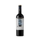 Vinho Santa Ema 4Elemento Cabernet Franc - 750ml
