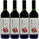 Vinho Sem Álcool Tinto Seco Cabernet Vinoh Select - 750mL - Nacional - 04 un Vinho Sem Álcool Tinto Seco Cabernet Vinoh Select - 750mL - Nacional - 04 un