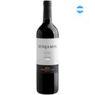Vinho Tinto Benjamin Nieto Senetiner Malbec Argentino 750ml