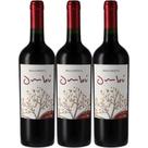 Vinho Tinto Braccobosca Ombu Tannat 750ml (3 und)