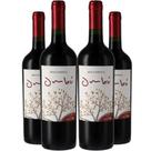 Vinho Tinto Braccobosca Ombu Tannat 750ml Kit 4 Garrafas