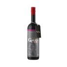 Vinho Tinto Brasileiro Alma Galiza Tannat 750ml Vinho Tinto Brasileiro Alma Galiza Tannat 750ml