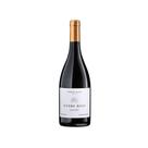 Vinho Tinto Brasileiro Terras Altas Terroir 750ml