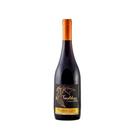 Vinho Tinto Brasileiro Villaggio Conti Teroldego 750ml