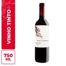 Vinho Tinto Cabernet Sauvignon Doña Florencia - 750ml