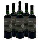 Vinho Tinto Cantagua Apassamiento Edição Limitada 750ml 6un