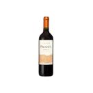 Vinho Tinto Chileno Panul Estate Bottled Carménère - 750Ml - Vinhedos Marchigüe
