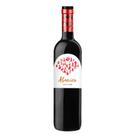 Vinho Tinto Espanhol Abanico