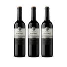 Vinho Tinto Fino Panizzon Vinas Martinez Cabernet Suave Seco Merlot Seco 750 ml kit 3 unidades