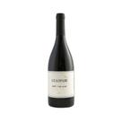 Vinho Tinto Guaspari Syrah Vista do Chá 2017