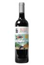 Vinho Tinto Petit Verdot Agogo Audace Wine