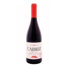 Vinho Tinto Português Cabriz Colheita Selecionada DOC Dão 750ml