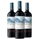 Vinho Tinto Queulat Gran Reserva Cabernet Sauvignon 750ml (3 und)
