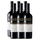 Vinho Tinto Santa Ema Gran Reserva Carmenere 750ml Kit 6 Und Vinho Tinto Santa Ema Gran Reserva Carmenere 750ml Kit 6 Und