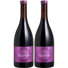 Vinho Tinto Seco Cabernet Franc Otto 750ml 2 Unidades
