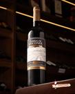 Vinho Tinto Seco Português Terras do Visconde Reserva 750ml