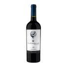 Vinho Tinto Tannat Uruguaio Vueltalmundo 750ml