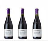 Vinho Tinto Tarapaca Gran Reserva Pinot Noir 750ml C/ 3 Unidades