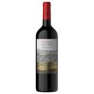 Vinho Tinto Zorzal Gran Terroir Cabernet Franc - 750ml Argentino