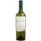 Vinho uruguaio braccobosca ombu sauvignon blanc 750ml branco