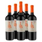 Vinho Viña Las Perdices Chac Chac Cabernet Franc 750ml 6un