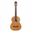 VIOLÃO ACÚSTICO GIANNINI NYLON PERFORMANCE PLUS N-17 Cor:Light Burst