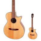 Violão Elétrico Nylon Semi Flat Ibanez AEG50N NT Natural