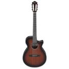 Violão Eletroacústico Ibanez Series AEG74N-MHS Nylon