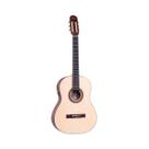 Violão Eletroacústico Rozini RX210.RE2 Studio Clássico