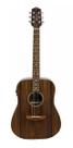 Violão giannini aço arizona dg1f lrpt fishman ng