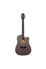 Violao giannini gdc-1 ceq ctj el/ac dreadnought satin java