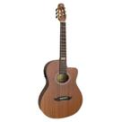 Violão Nylon Eletroacústico Giannini Performance GNF3 CEQ WS