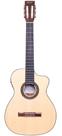 Violão Rozini RX621 Premium Auditorio Nylon Fishman Com Bag