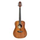 Violão Seizi EQ Mini NEO Tokyo Koa Com Bag 10360410