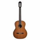 Violão Seizi Supreme Yatta Cedro Natural com Bag 10360344