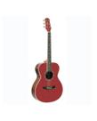 Violao strinberg co40 wr cromo
