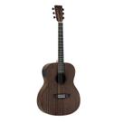 Violão Strinberg Forest FS1A Tos Aço Eletroacustico Artist