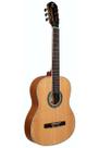 Violao tagima paraty nts natural satin Violao tagima paraty nts natural satin
