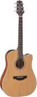 Violão Takamine GD20CE TP4T Natural Satin - Elétrico Aço